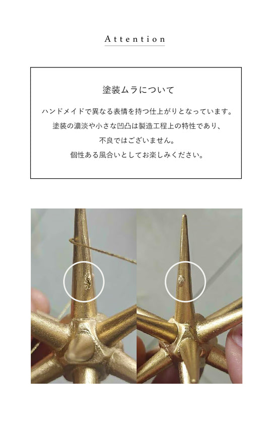 ベツレヘムの星 柊